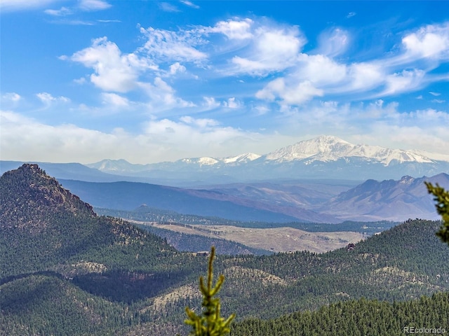 property view of mountains featuring a forest view
