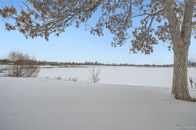 view of snowy yard