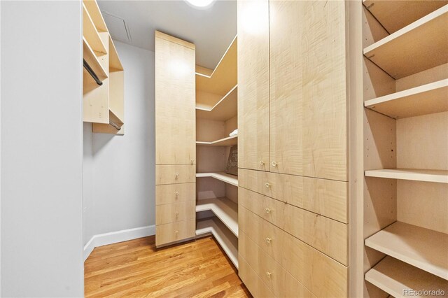 walk in closet featuring wood finished floors
