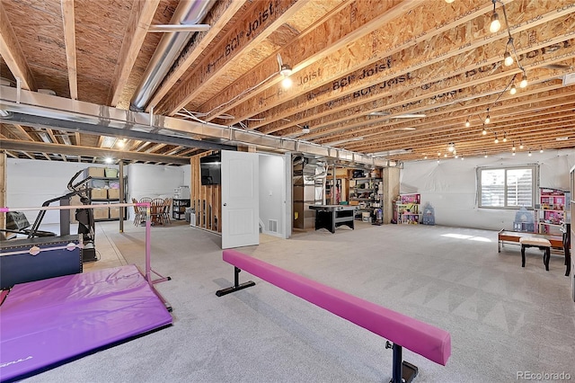 basement with carpet