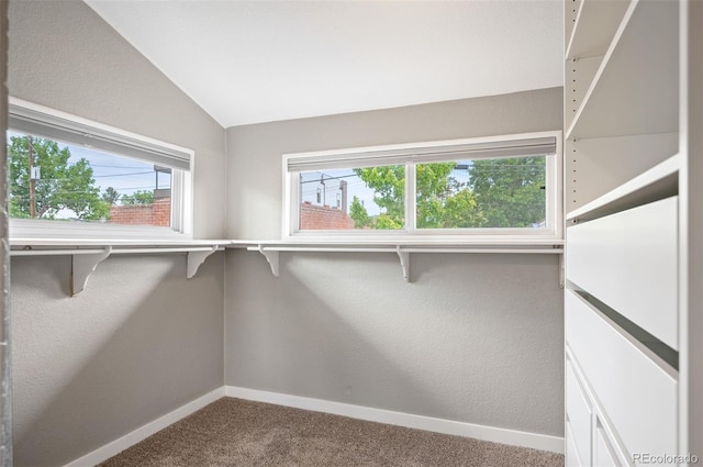1532 Meade St, Denver, CO 80204 - walk in closet featuring dark carpet and lofted ceiling