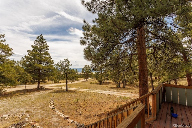 18240 Trail W Dr, Buena Vista, CO 81211 - photo 20