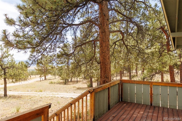 18240 Trail W Dr, Buena Vista, CO 81211 - photo 24