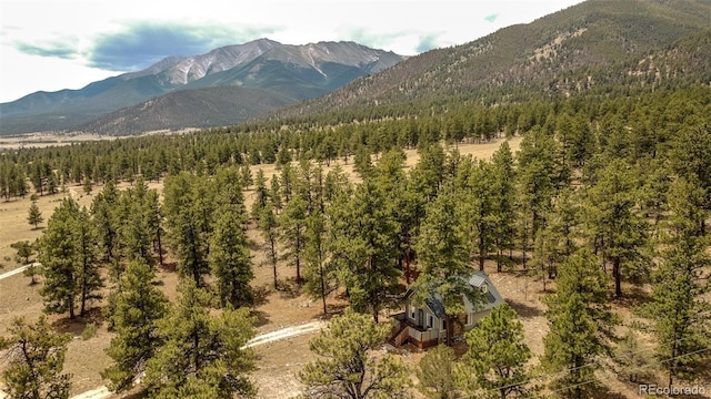 18240 Trail W Dr, Buena Vista, CO 81211 - photo 27