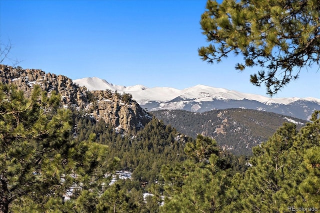 property view of mountains featuring a wooded view