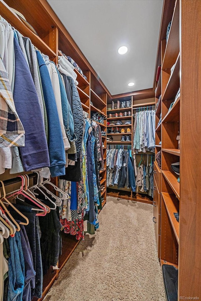 walk in closet with carpet floors