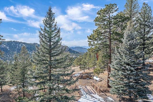 mountain view featuring a wooded view