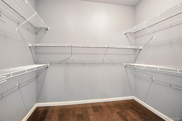 walk in closet with dark wood-style floors