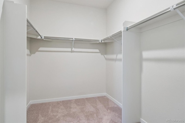 14133 Deertrack Ln, Parker, CO 80134 - photo 23