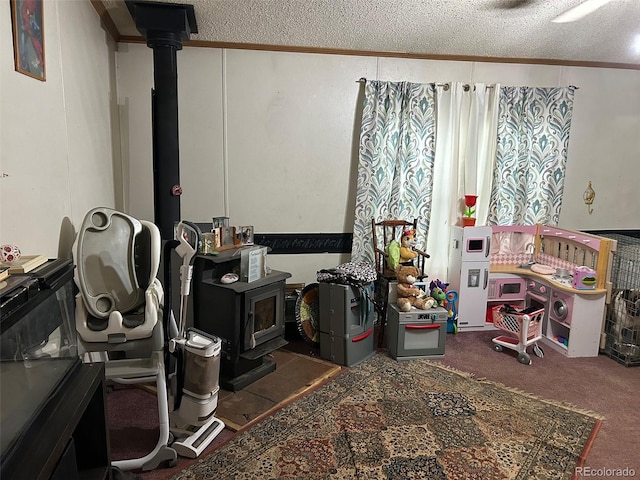 1130 Denver Ave, Saguache, CO 81149 - miscellaneous room with a wood stove, crown molding, a textured ceiling, and carpet
