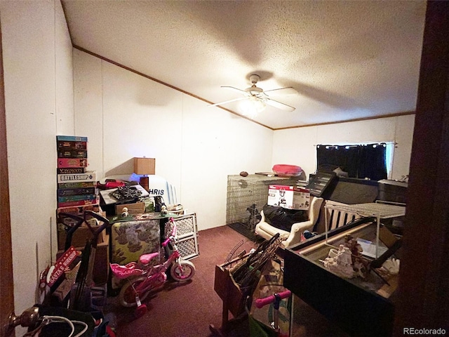 1130 Denver Ave, Saguache, CO 81149 - storage with ceiling fan