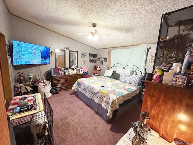 1130 Denver Ave, Saguache, CO 81149 - photo 18