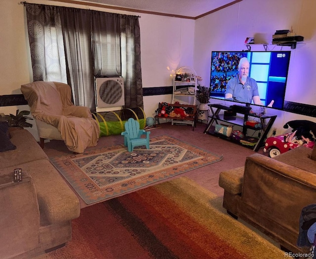 1130 Denver Ave, Saguache, CO 81149 - photo 6