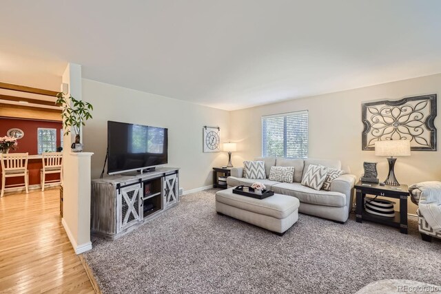 living room with hardwood / wood-style floors