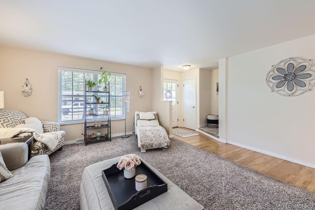 living room with hardwood / wood-style floors