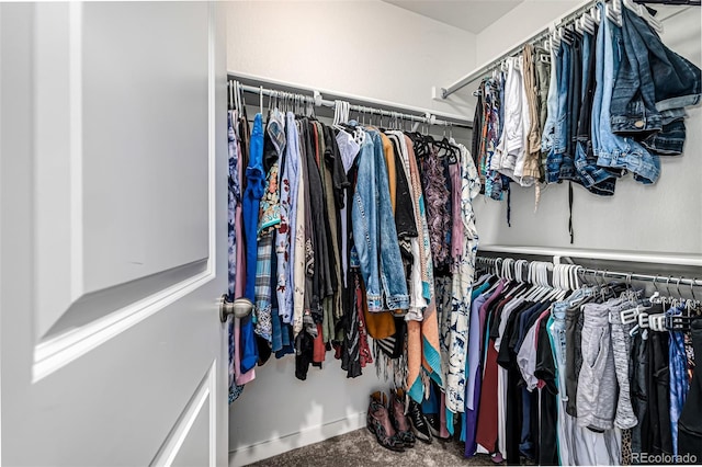 spacious closet featuring carpet floors