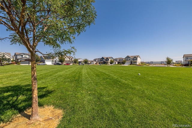 view of yard with a residential view