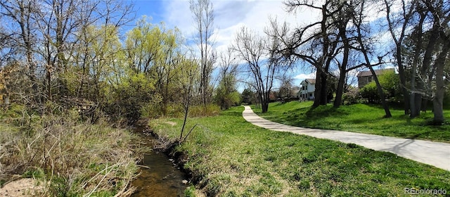 view of community with a lawn