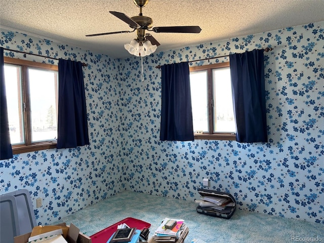 8380 County Road 140, Salida, CO 81201 - photo 14