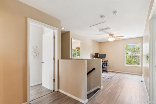 1720 Elk Springs St, Loveland, CO 80538 - photo 11