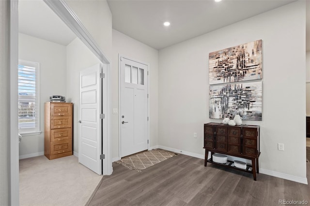 entryway featuring wood-type flooring