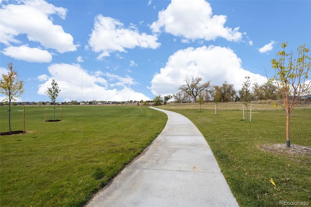 view of community featuring a yard