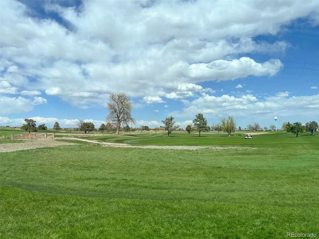 view of home's community with a yard