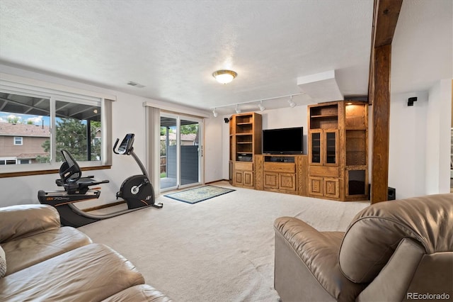 11131 Seton Pl, Westminster, CO 80031 - living room featuring carpet flooring, rail lighting, and a textured ceiling
