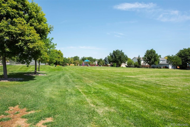 12665 Grove Ct, Broomfield, CO 80020 - view of green lawn