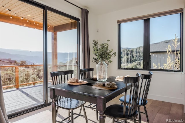103 Paintbrush Way, Glenwood Springs, CO 81601 - dining room with wood finished floors and a mountain view