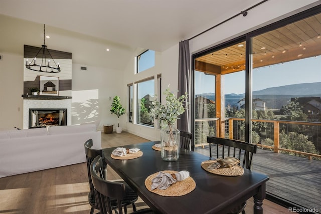 103 Paintbrush Way, Glenwood Springs, CO 81601 - dining space featuring a mountain view, wood finished floors, a large fireplace, and lofted ceiling