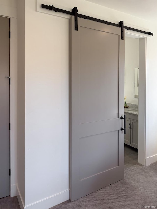 103 Paintbrush Way, Glenwood Springs, CO 81601 - view of closet