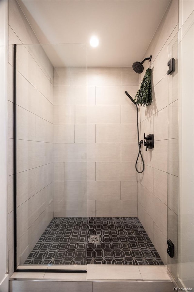 103 Paintbrush Way, Glenwood Springs, CO 81601 - bathroom featuring a stall shower