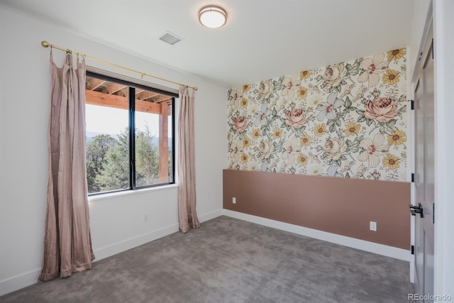 103 Paintbrush Way, Glenwood Springs, CO 81601 - empty room with carpet flooring