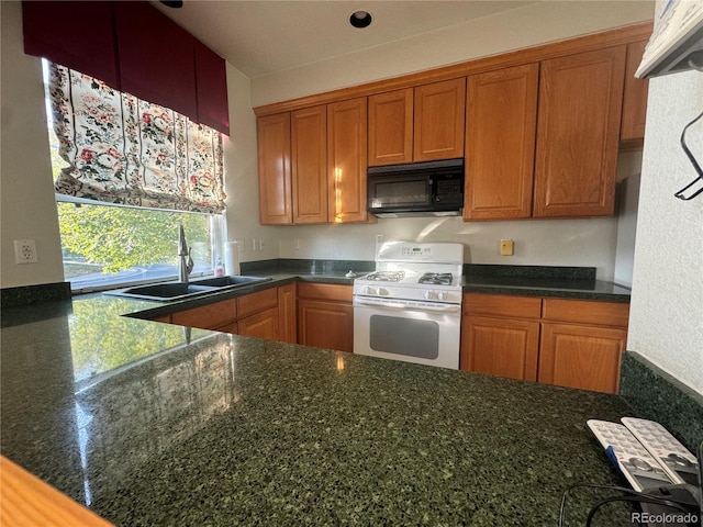 kitchen featuring sink and white gas stove