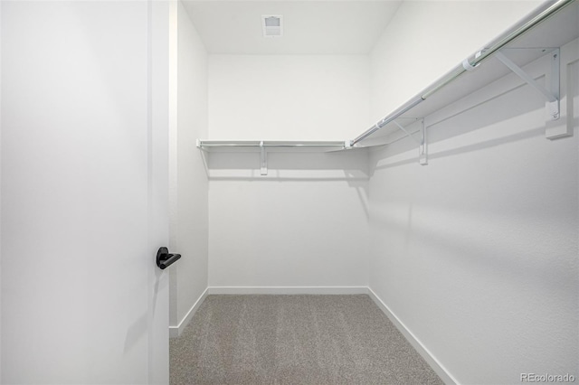 walk in closet with visible vents and carpet