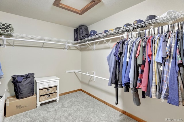 walk in closet featuring attic access and carpet flooring