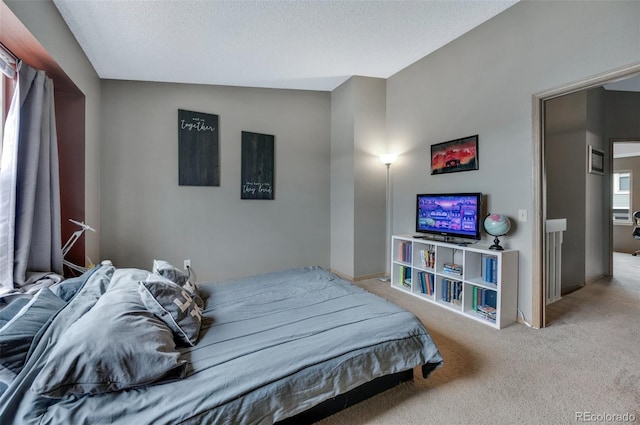3831 Smoke Tree Dr, Colorado Springs, CO 80920 - bedroom with carpet floors, a textured ceiling, and baseboards
