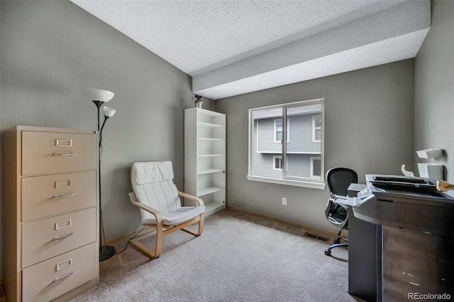 3831 Smoke Tree Dr, Colorado Springs, CO 80920 - carpeted office space featuring a textured ceiling, baseboards, and visible vents