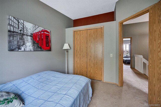 3831 Smoke Tree Dr, Colorado Springs, CO 80920 - bedroom with carpet and a closet