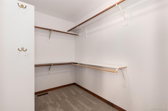 walk in closet with visible vents and carpet flooring