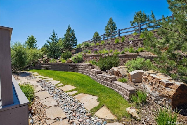 24322 E Mineral Dr, Aurora, CO 80016 - view of yard