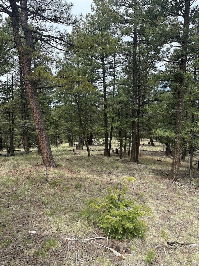 1120/1086 N Mountain Estates Rd, Florissant, CO 80816