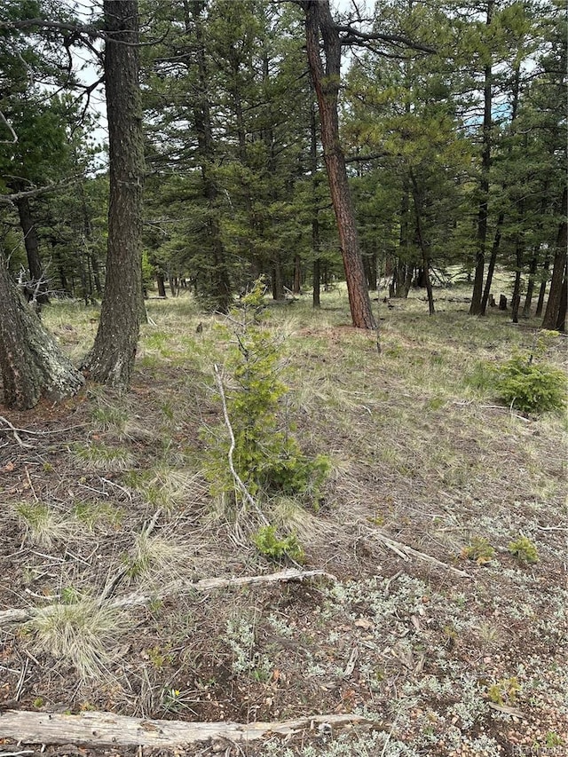 1120/1086 N Mountain Estates Rd, Florissant, CO 80816