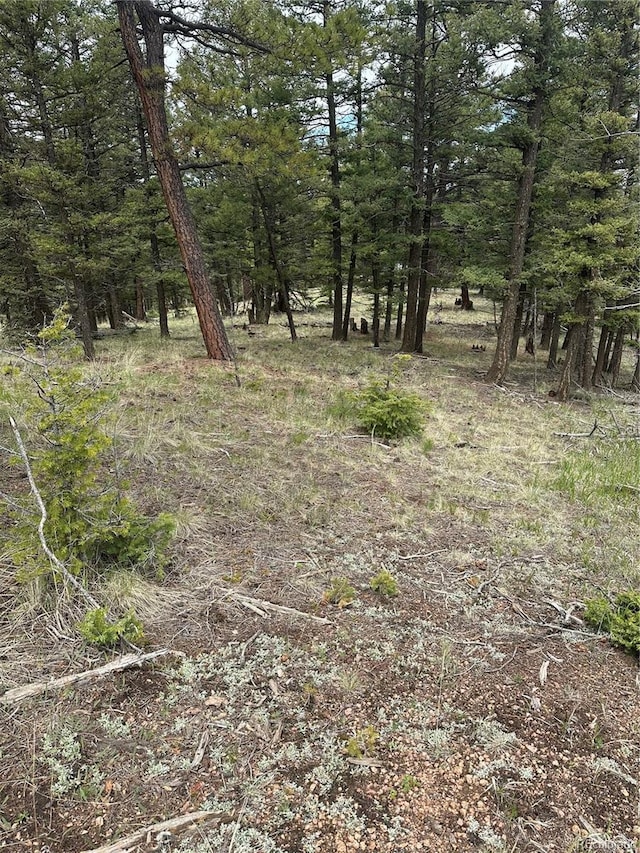 1120/1086 N Mountain Estates Rd, Florissant, CO 80816