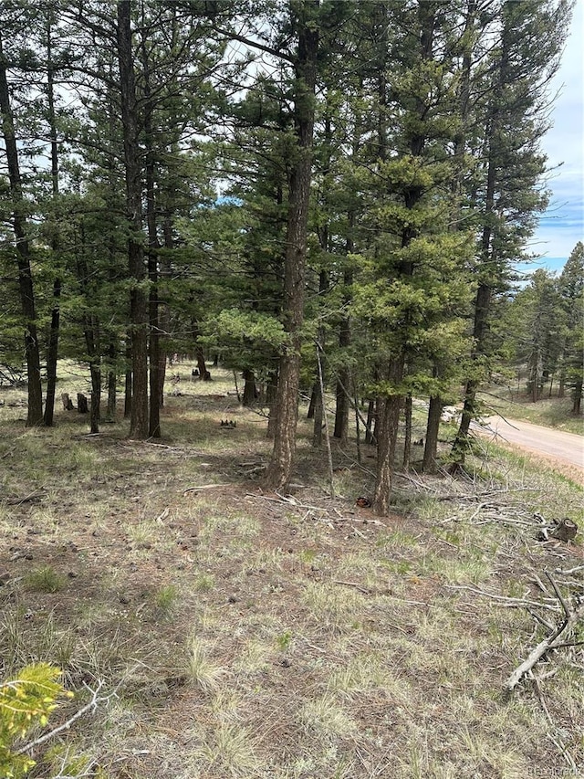 1120/1086 N Mountain Estates Rd, Florissant, CO 80816