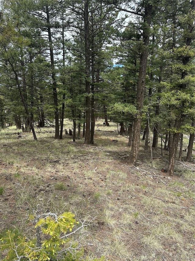 1120/1086 N Mountain Estates Rd, Florissant, CO 80816