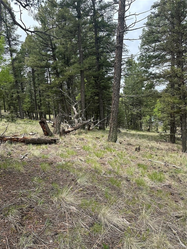 1120/1086 N Mountain Estates Rd, Florissant, CO 80816