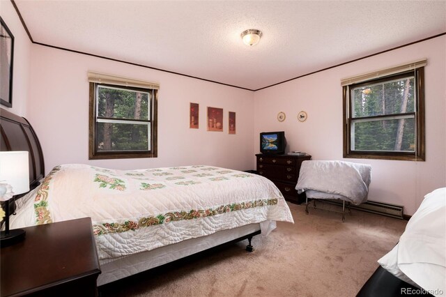 178 Elk Rd, Idaho Springs, CO 80452 - photo 11
