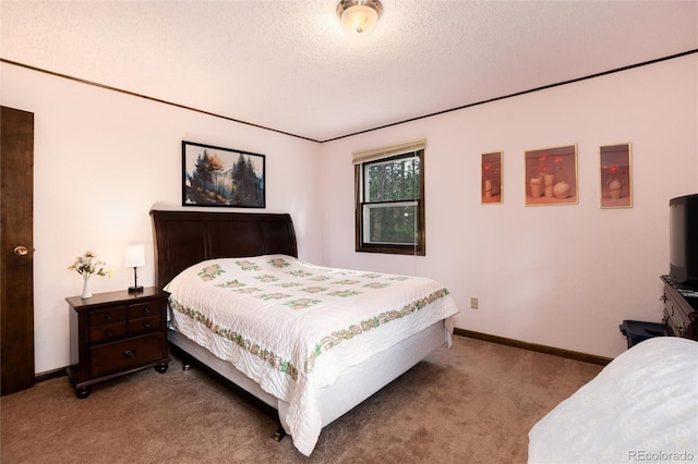 178 Elk Rd, Idaho Springs, CO 80452 - photo 12
